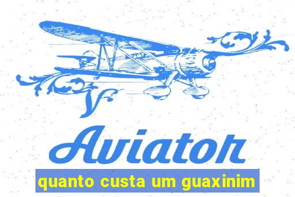 quanto custa um guaxinim